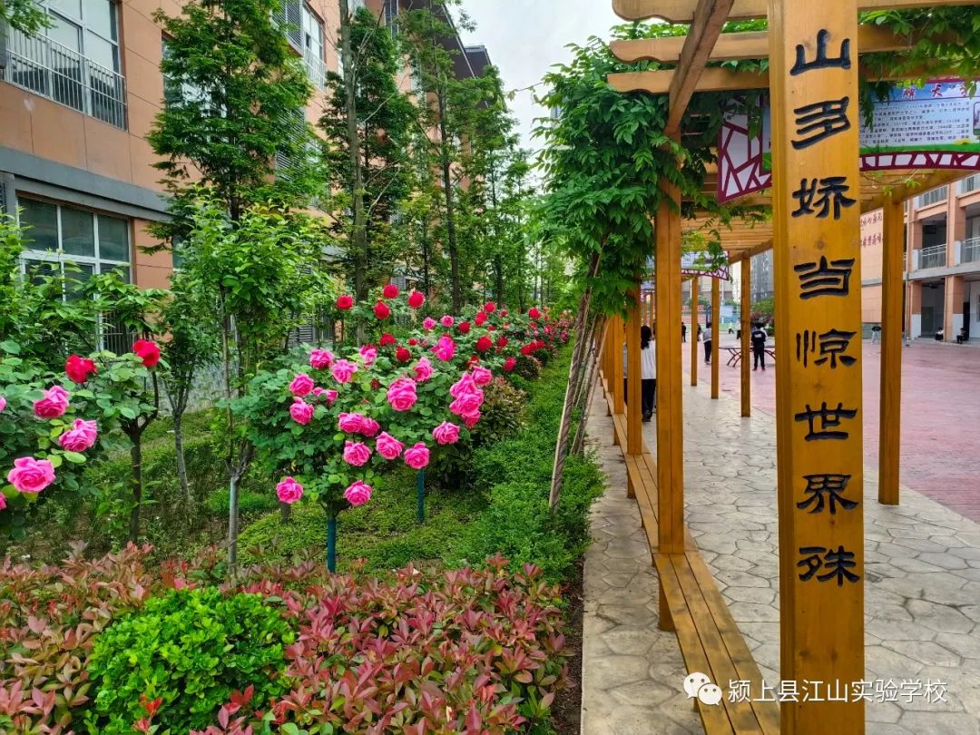 校园风采