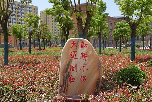 校园风光
