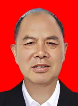 高三鲁速